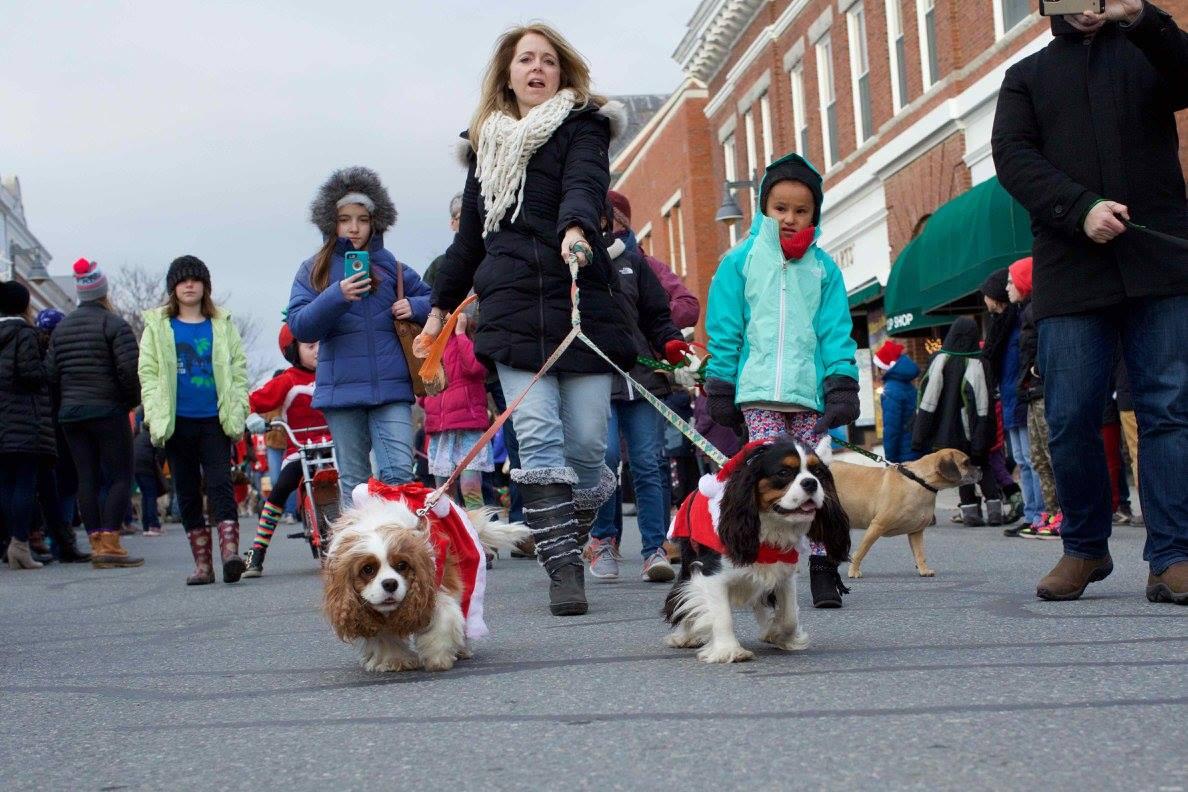 Annual Williamstown Holiday Walk