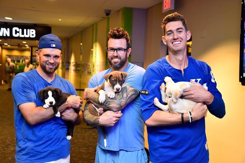 Kansas City, United States. 19th Apr, 2022. Fans and dogs enjoy some  pregame food during Bark at the Park Night before the Minnesota Twins take  on the Kansas City Royals at Kauffman