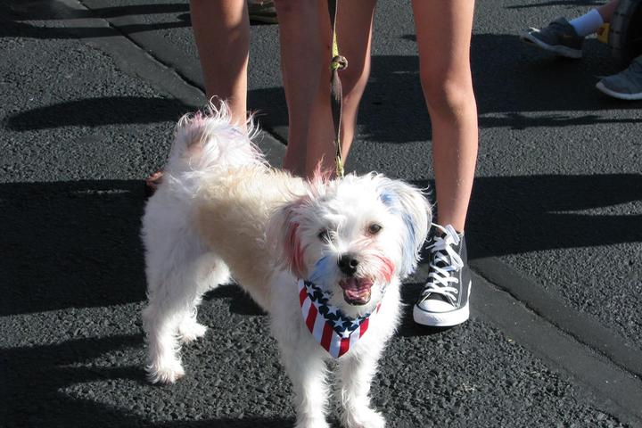 Pet Friendly The HRCA July 4th Family Bike and Pet Parade