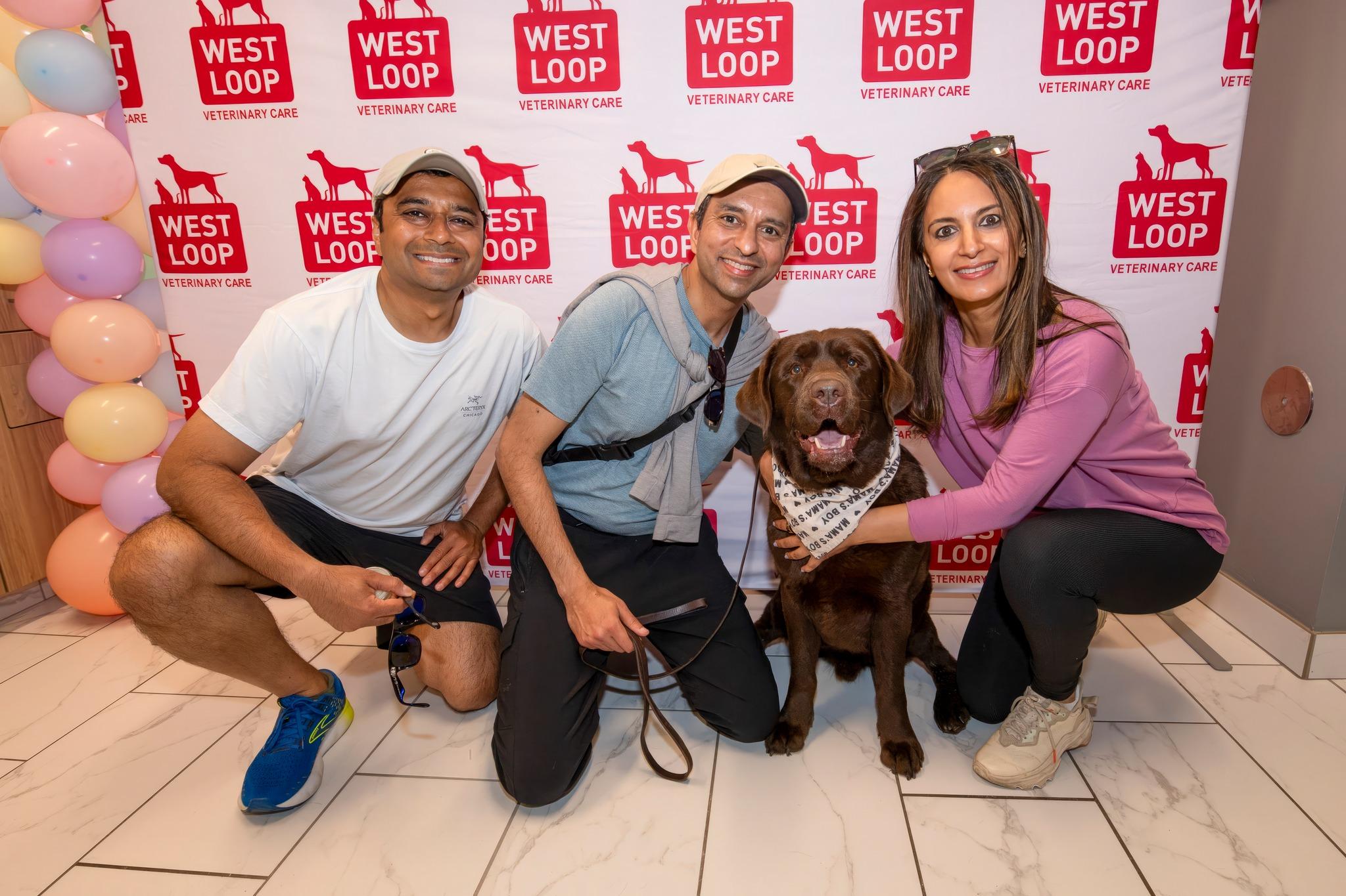Pet Friendly Annual Bark in Bloom