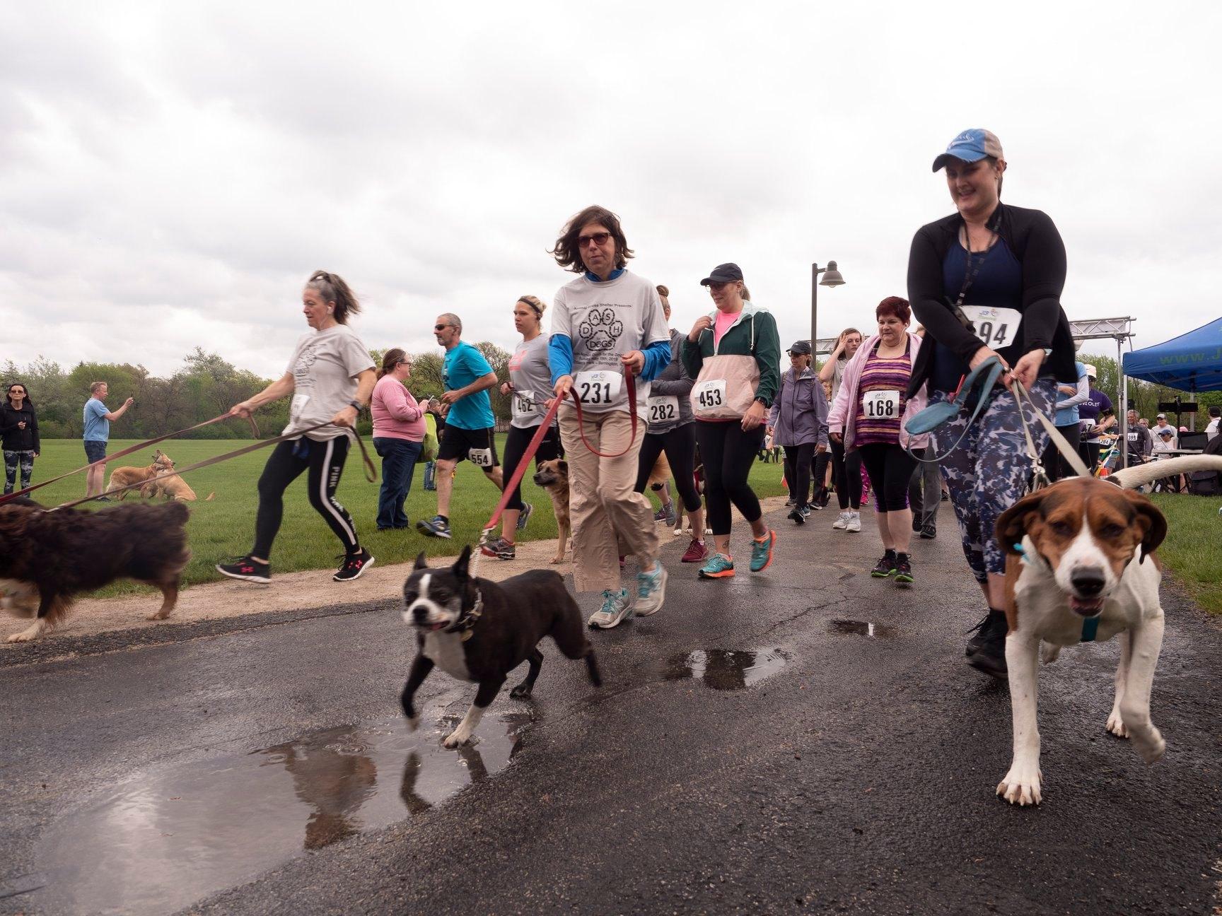 Pet Friendly Dash for the Dogs Annual 5K Run/Walk