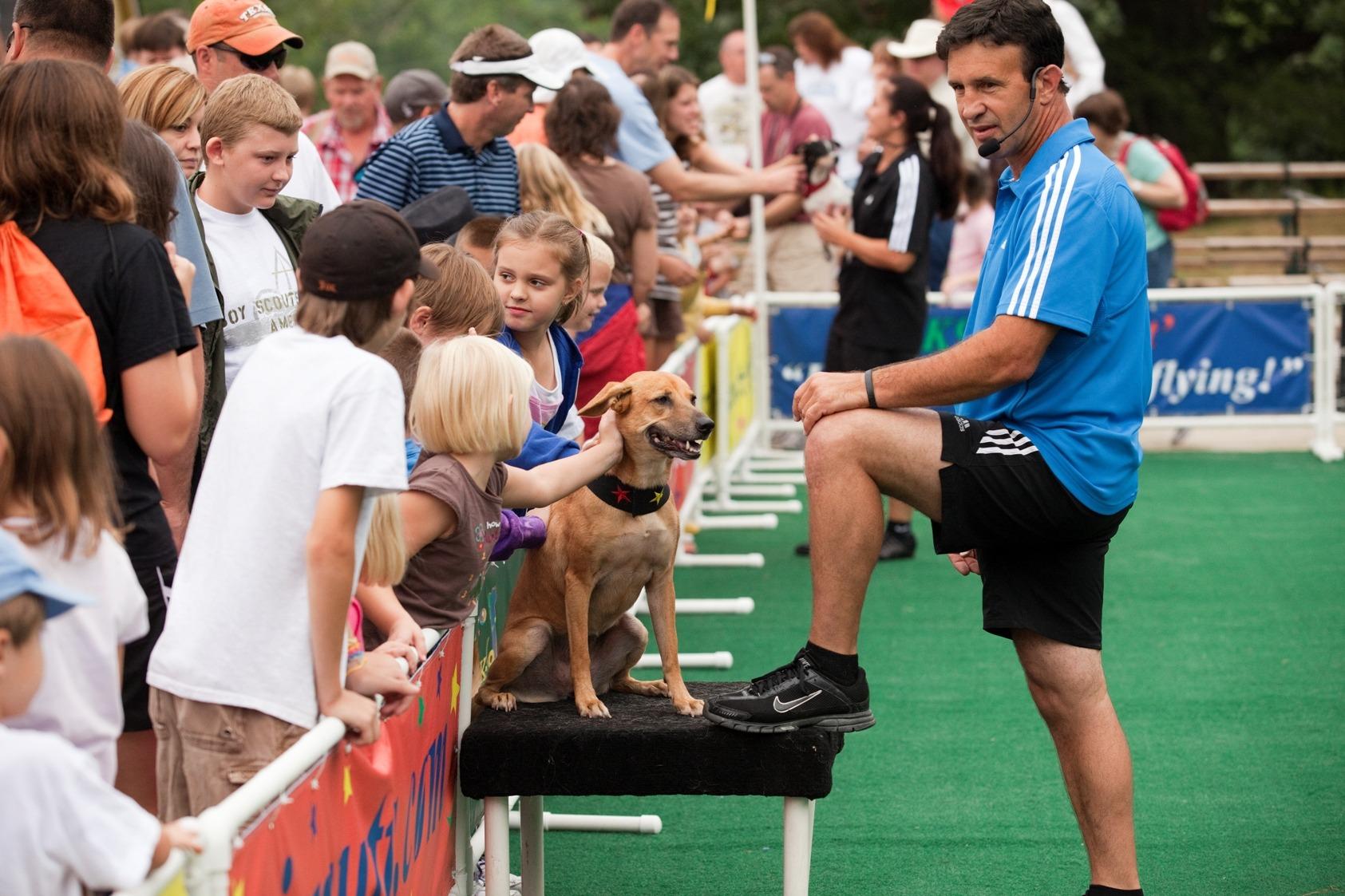 Pet Friendly K-9s in Flight Frisbee Dogs