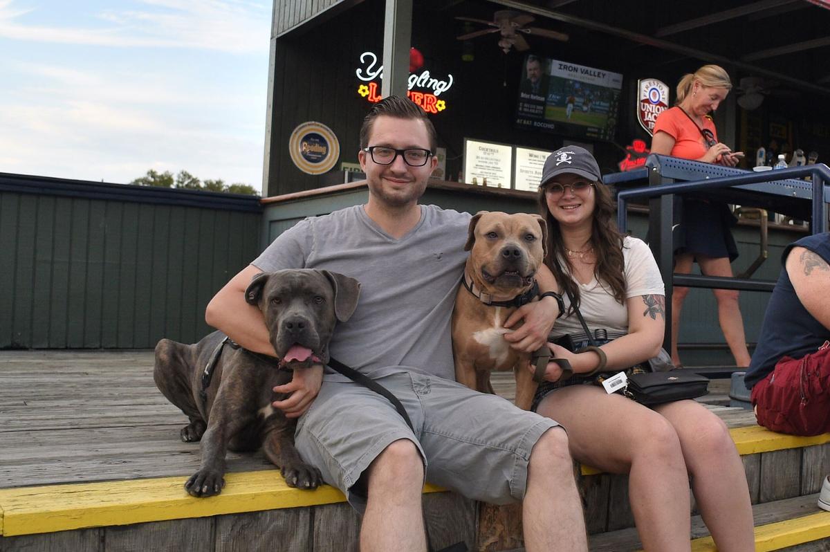 Dog-Friendly Baseball Parks - BringFido