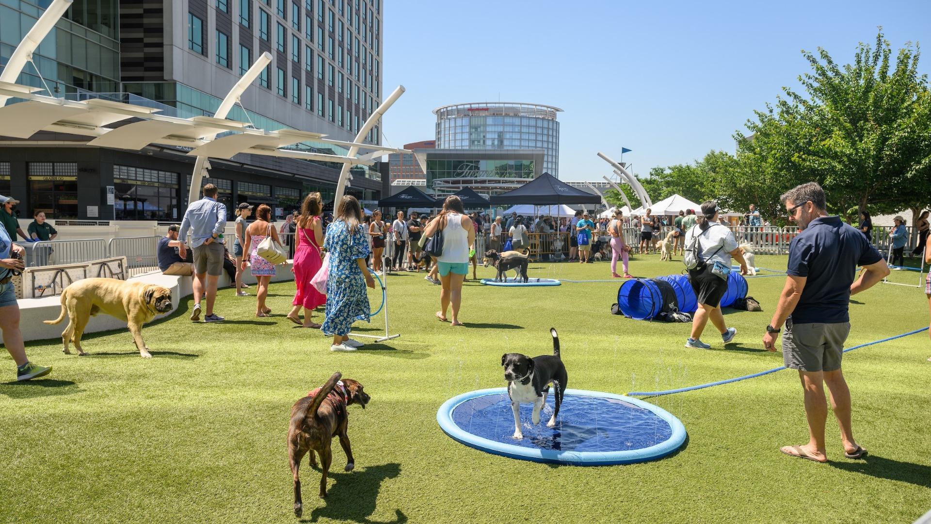 Pet Friendly Paws On The Plaza: A Pet Event