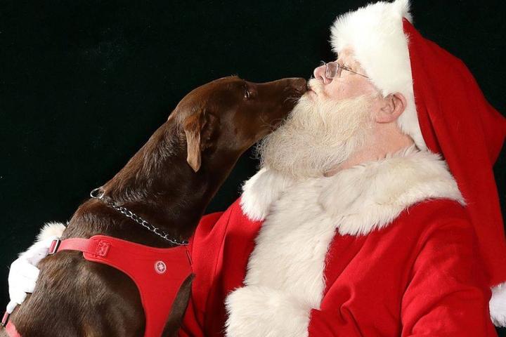 Pet Friendly Pet Photos with Santa at Northwoods Mall