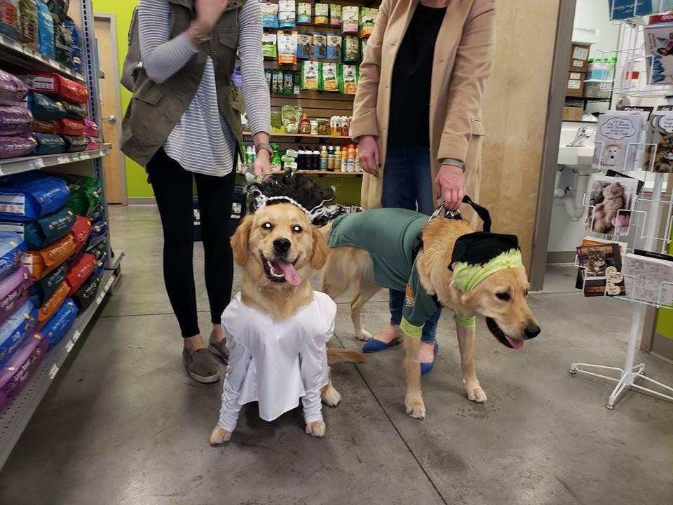 TrickorTreat for Pets Halloween Party Kirkwood