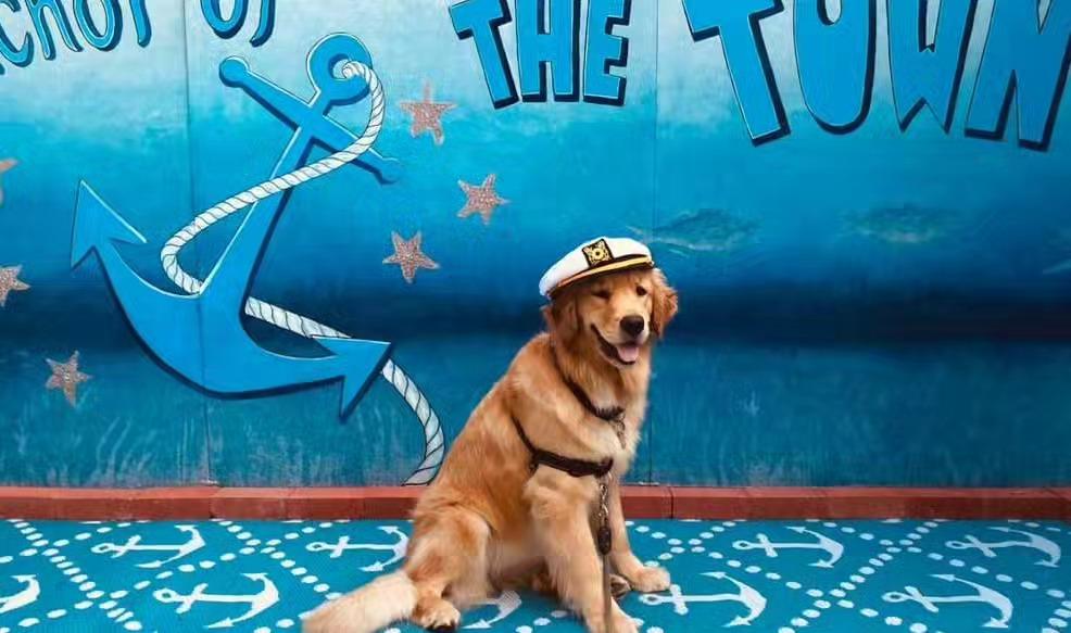 Pet Friendly Yappy Hour at The Anchor
