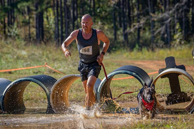 Pet Friendly Midwest Canine Obstacle Run