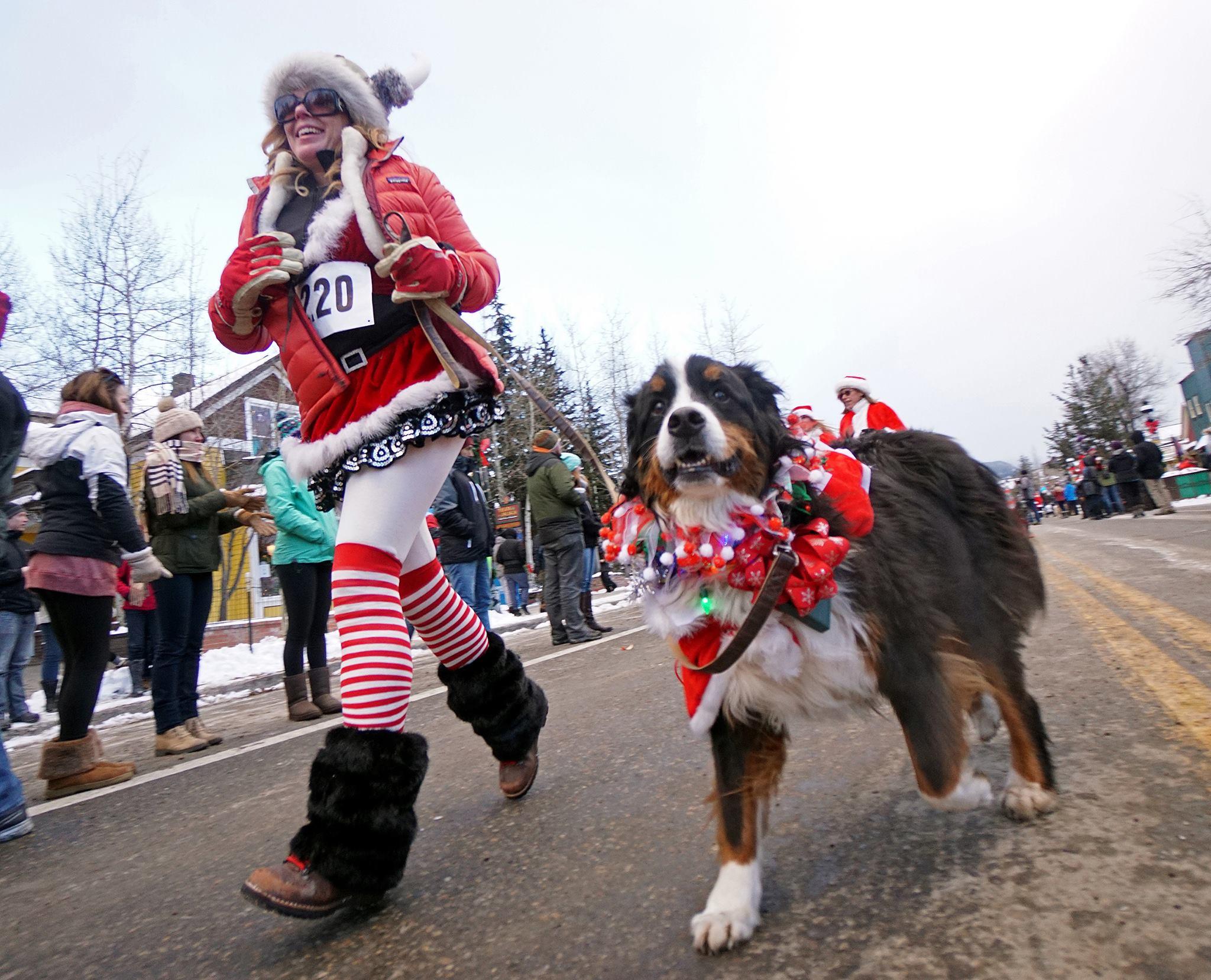 BringFido to Lighting of Breckenridge Holiday Dog Parade