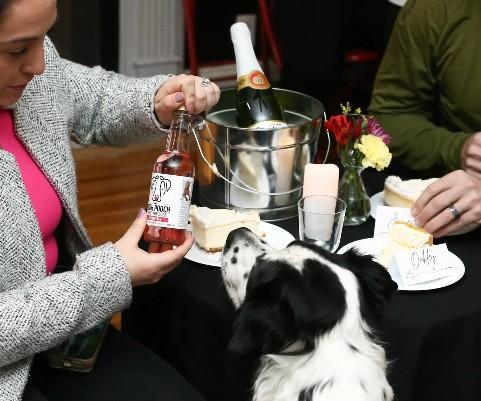 Pet Friendly Date Night with Your Dog