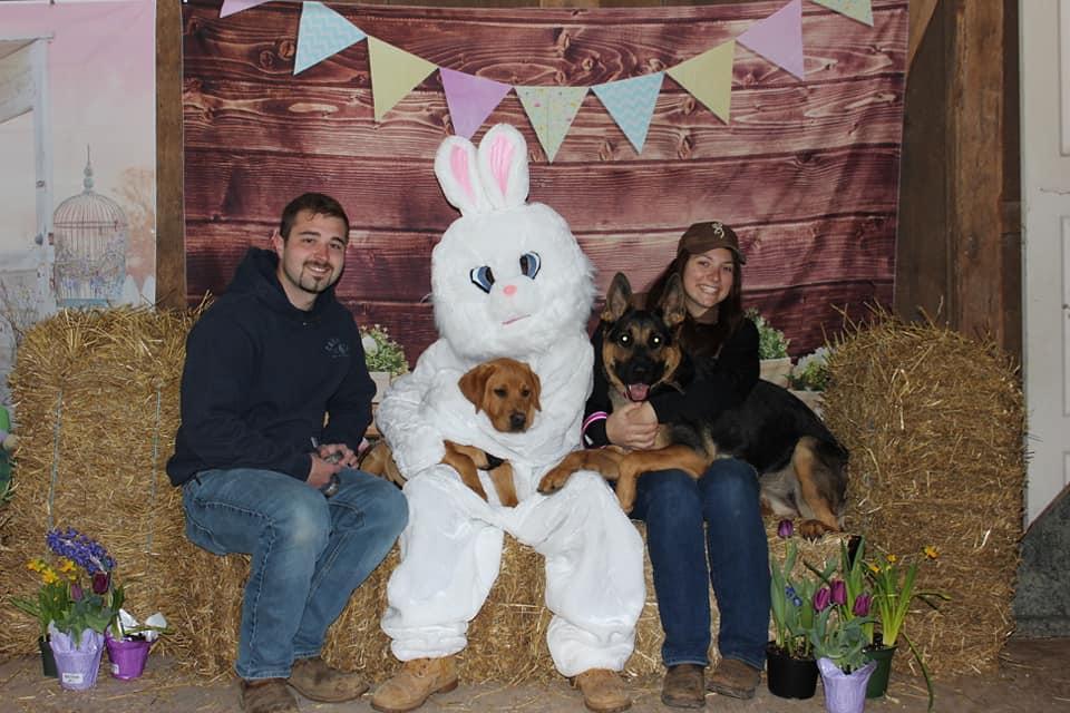 Pet Friendly Easter Eggstravaganza