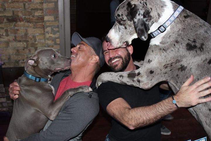 Pet Friendly Dog Day Afternoon at Sidetrack The Video Bar