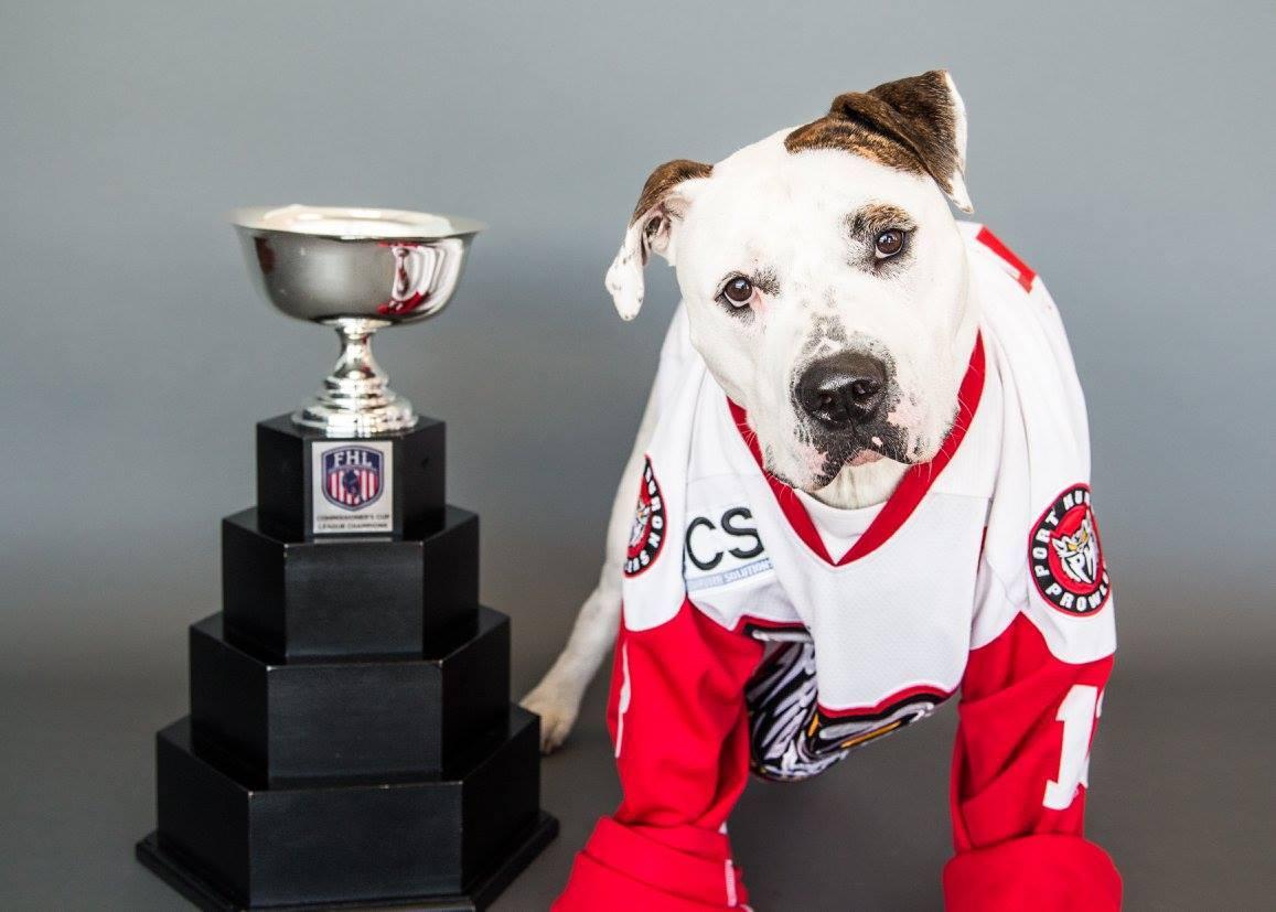 Pet Friendly Pucks & Pups with the Port Huron Prowler