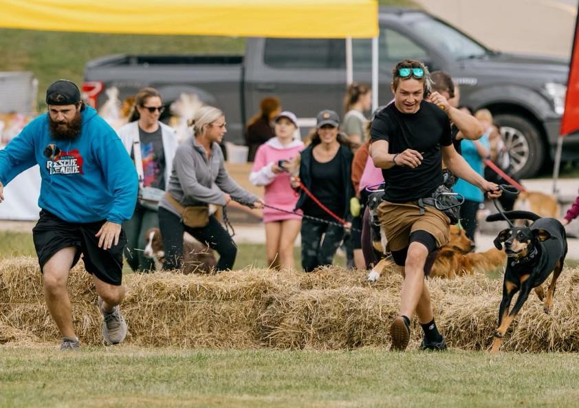 Pet Friendly Annual Dog Derby