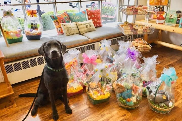 Pet Friendly Paws Easter Egg Hunt and Bunny Pictures