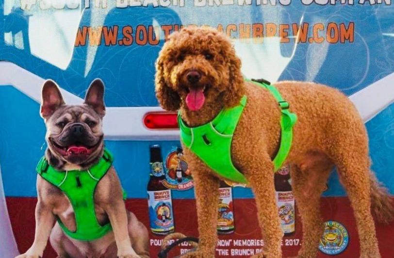 Pet Friendly Bark @ the Bar: Bring Your Dog Day at South Beach Brewing Company