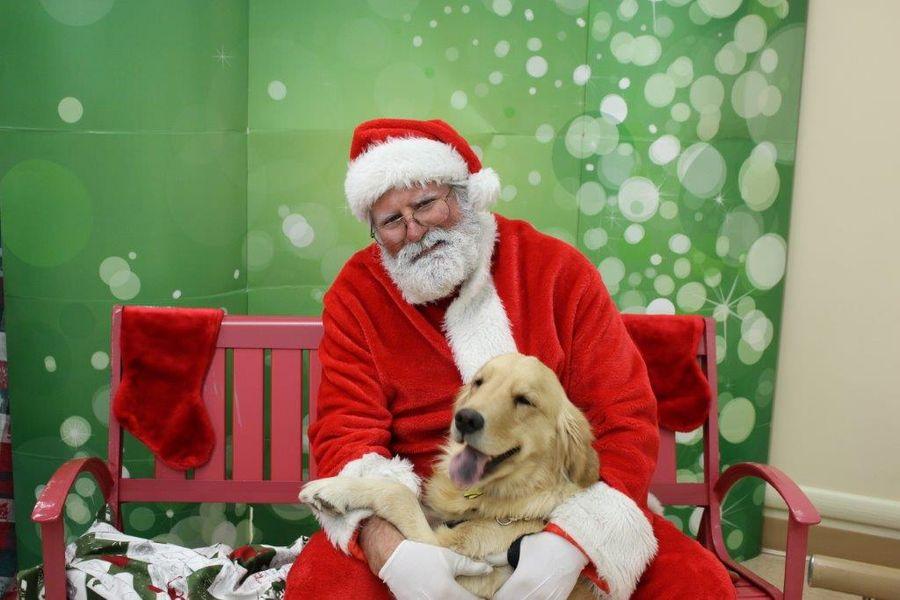 Pet Friendly Santa Paws