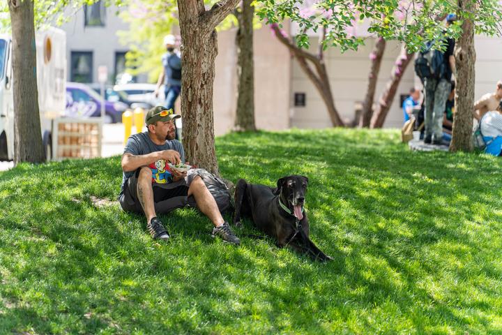 Pet Friendly Relax at Rosa Concert Series