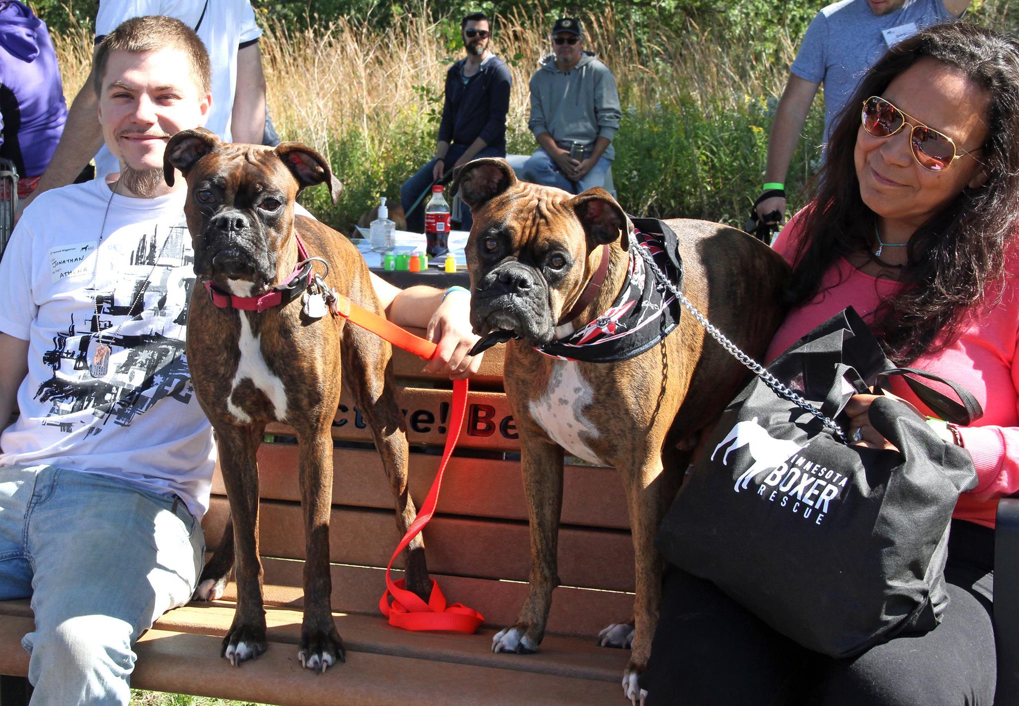 Pet Friendly WiggleFest