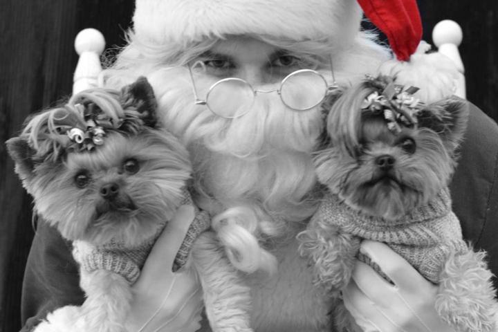 Pet Friendly Santa Paws is Coming to the Barking Lot!
