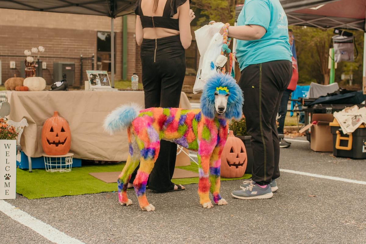 BringFido to Fall Fido Festival