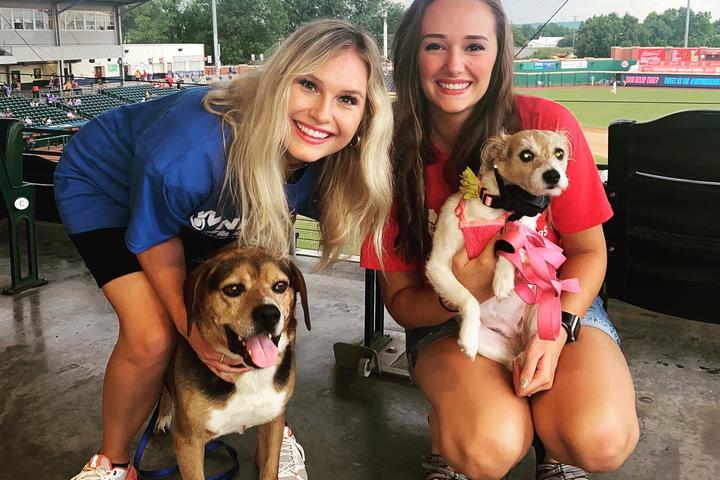 Pet Friendly Tail Waggin' Tuesdays with the Bowling Green Hot Rods
