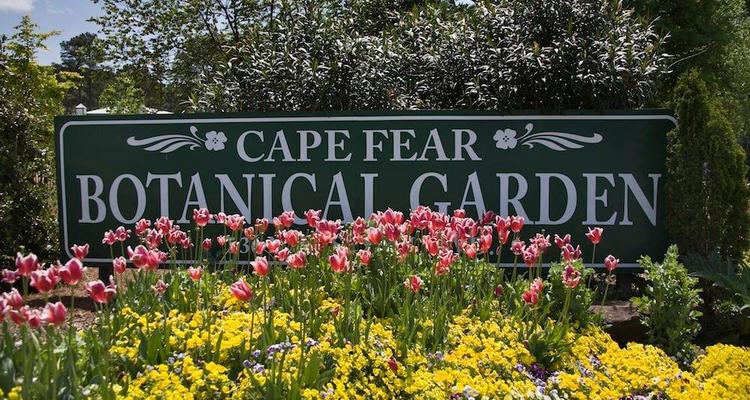 Dog Day In The Garden