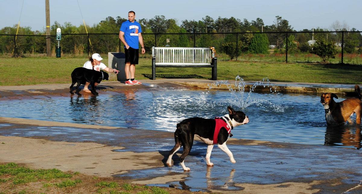 spca albrecht center