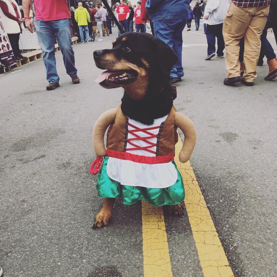 Oktoberfest German Beer Pet Dog Costume