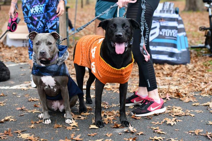 Pet Friendly Duck Donut Holiday 5K and 1 Mile Pet Walk
