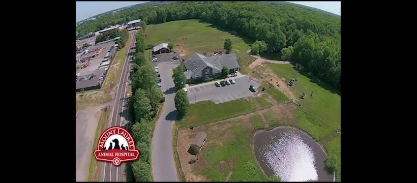 Mount Laurel Animal Hospital's Open House