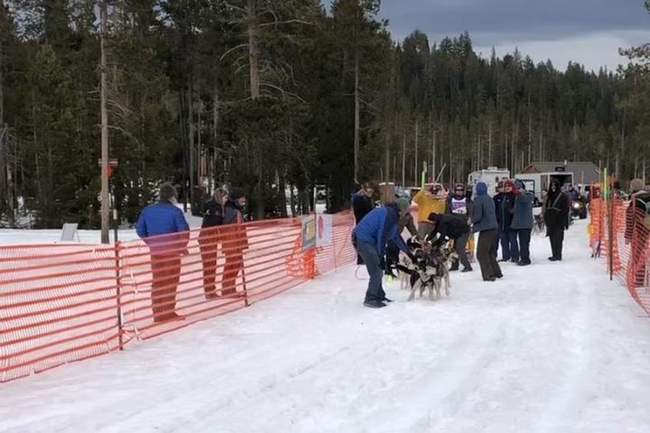 Pet Friendly Bachelor Butte Dog Derby -The Odd Dog Race
