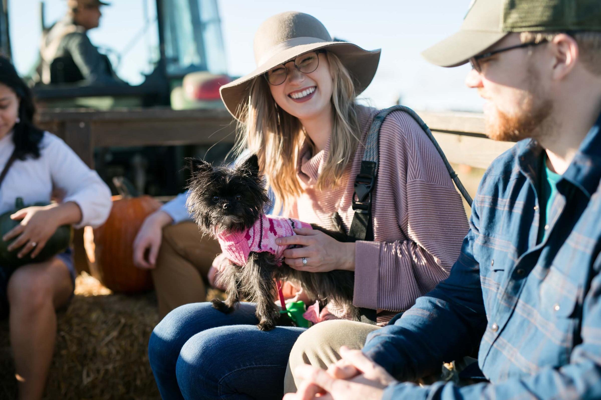 Pet Friendly Sinkland Farms Pumpkin Festival