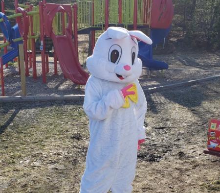 Pet Friendly Kennebunkport Rec Paw-some Dog Egg Hunt