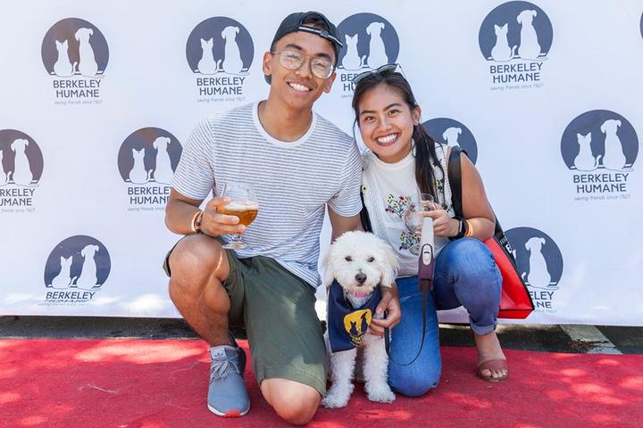 Pet Friendly Pints for Paws