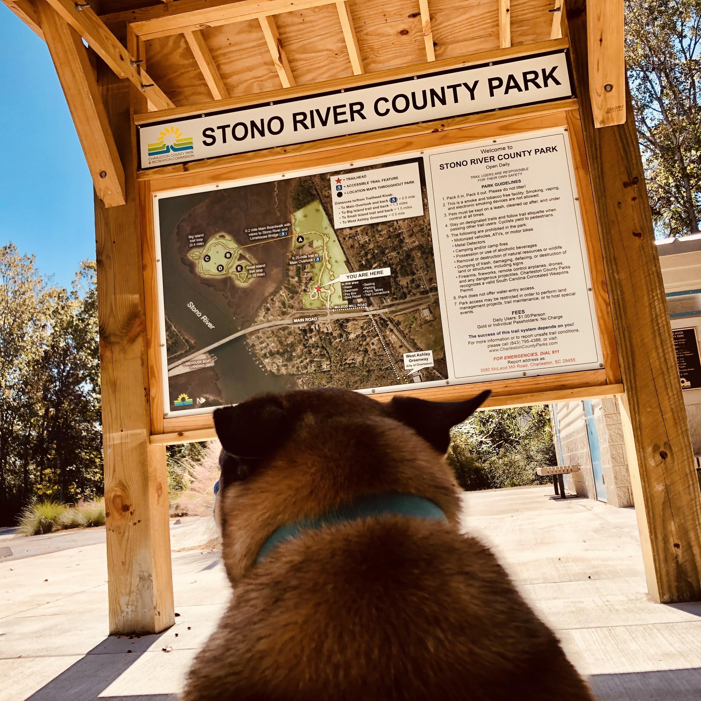 Pet Friendly Stono River County Park