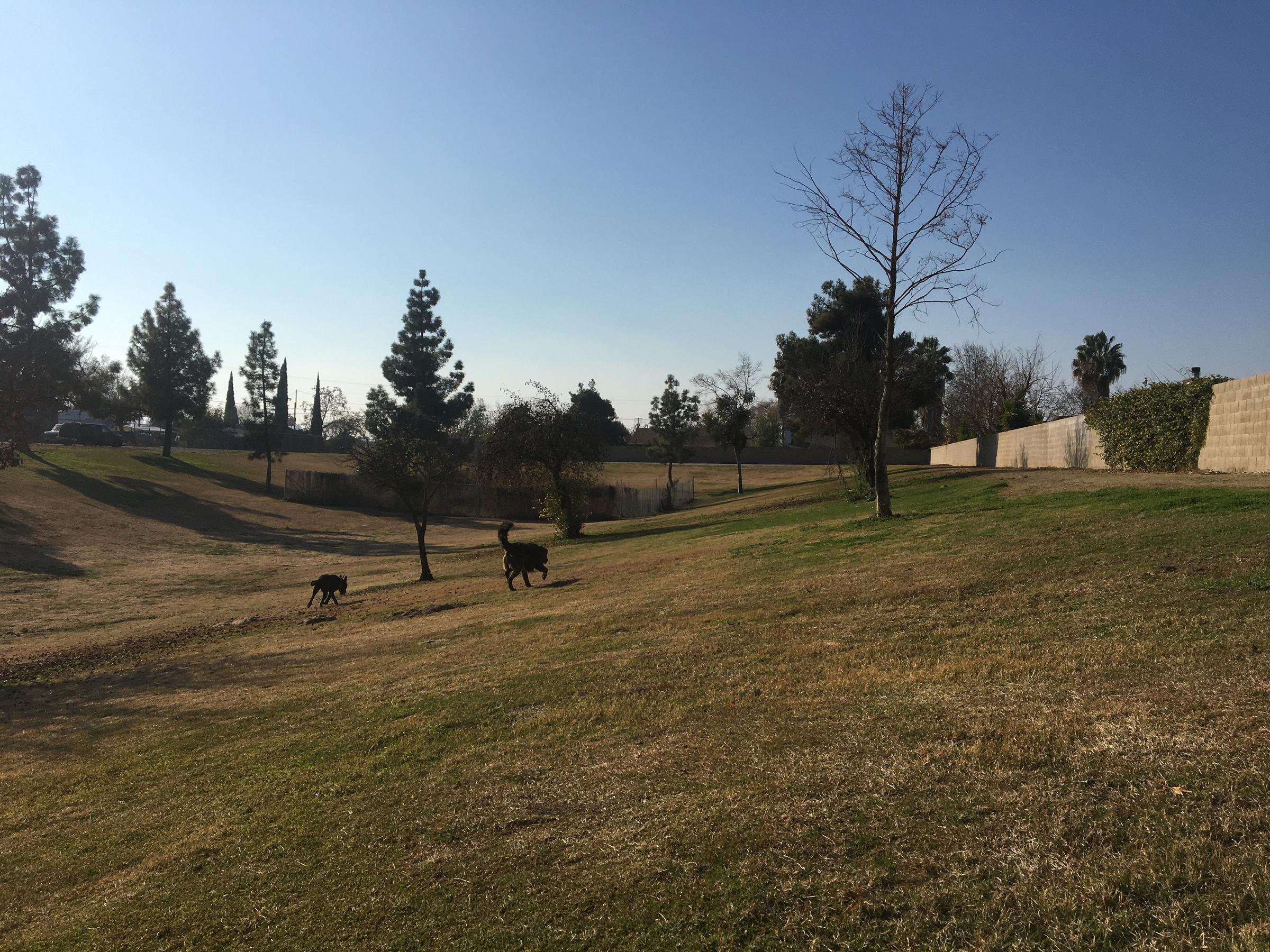 Pet Friendly City of Selma Dog Park