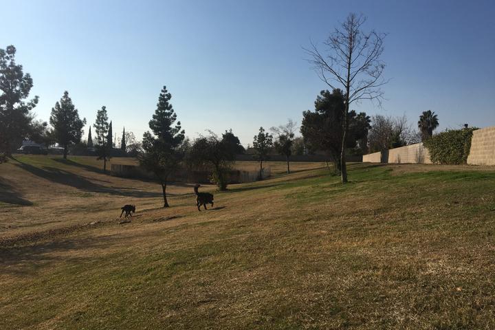 Pet Friendly City of Selma Dog Park