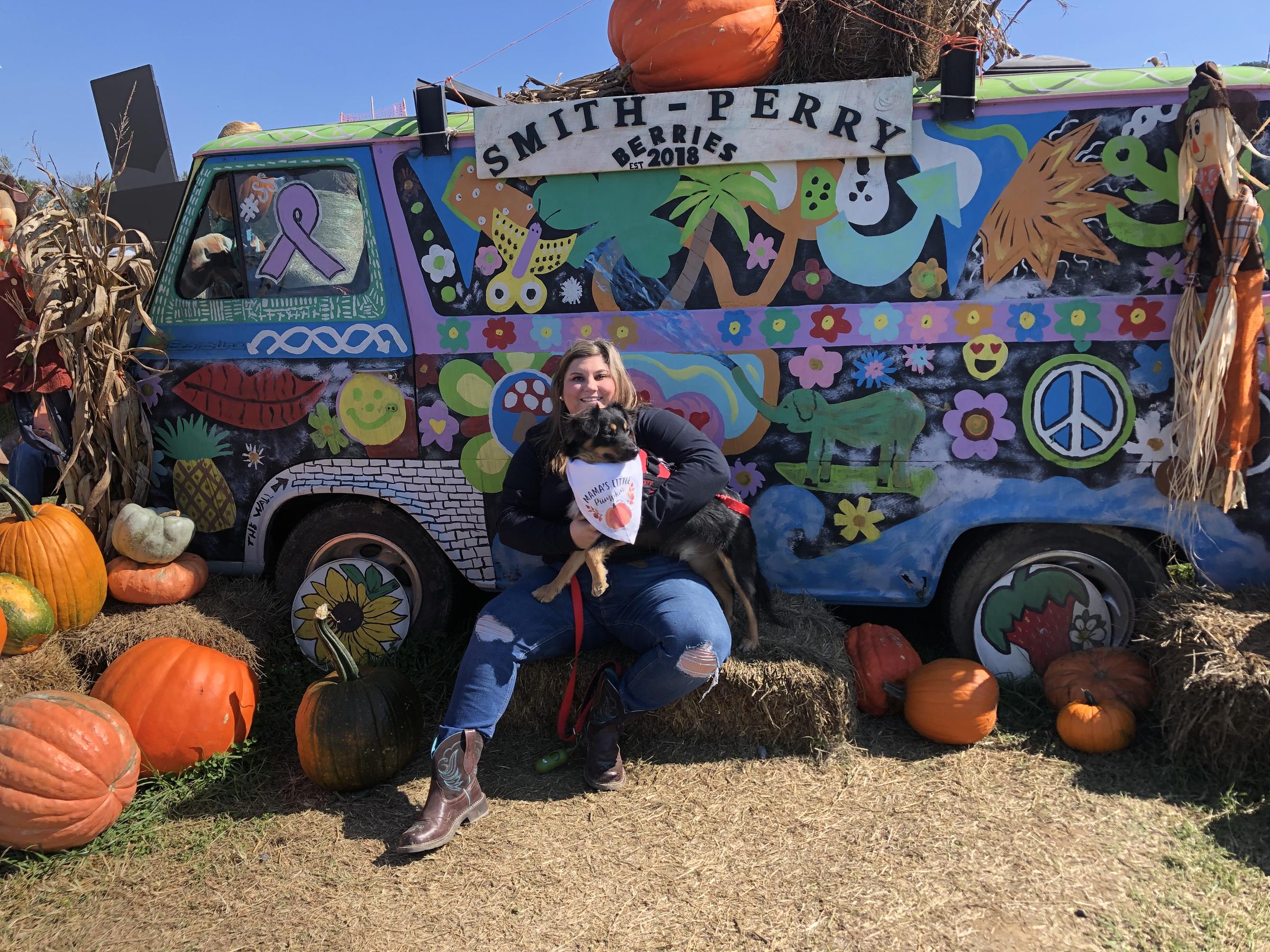 Dog Friendly Activities in Ooltewah, TN BringFido