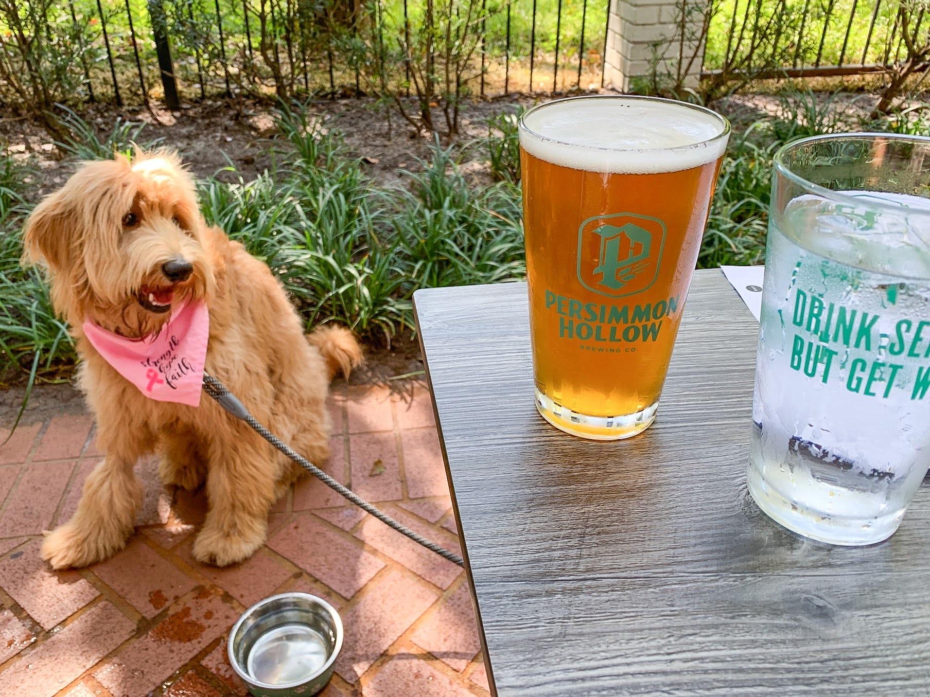 Pet Friendly Persimmon Hollow Brewing Co at Lake Eola