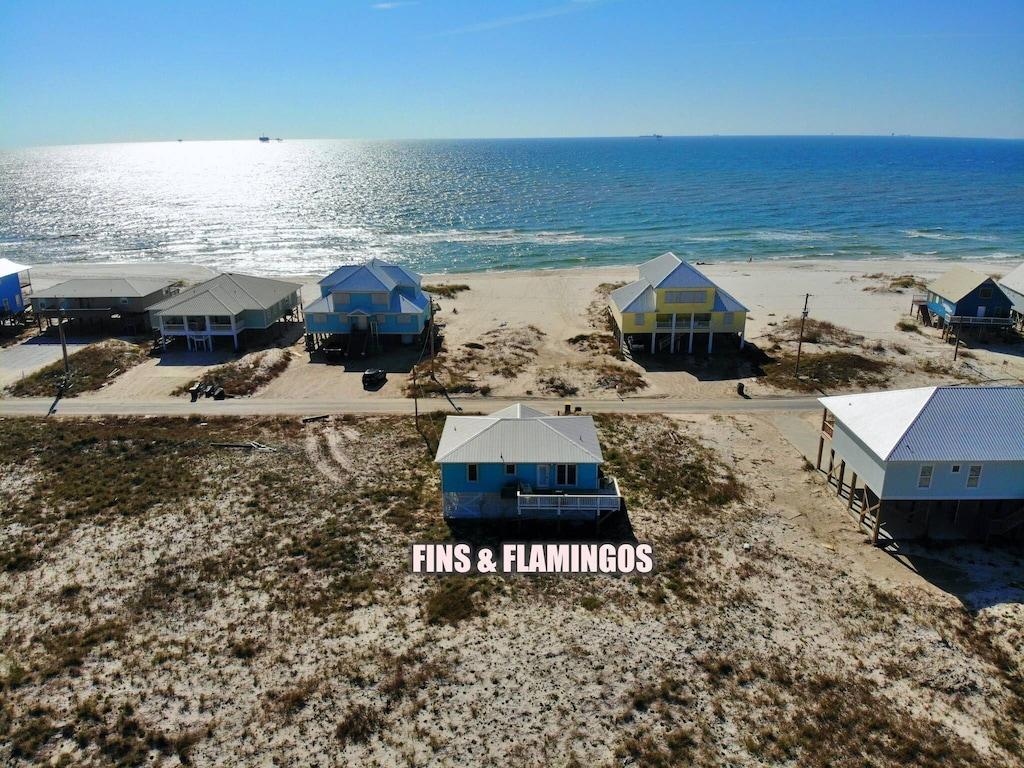 Fins & Flamingos Pet Policy