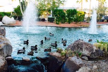 Sunflower Rv Resort Pet Policy