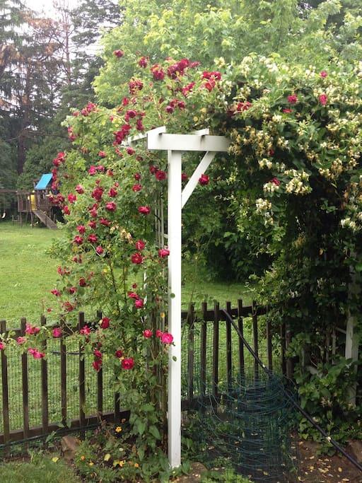 Pet Friendly Hotels In Boardman Oh - Bringfido