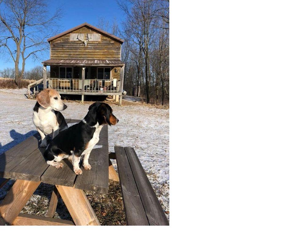 Pet Friendly VRBO Coon Valley