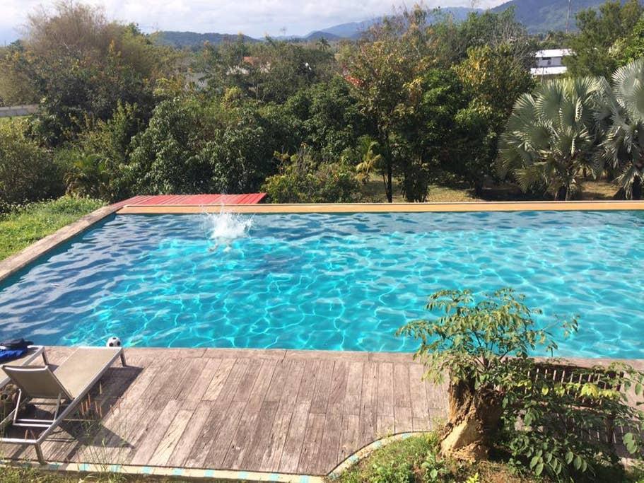Pet Friendly Chiang Rai Airbnb Rentals