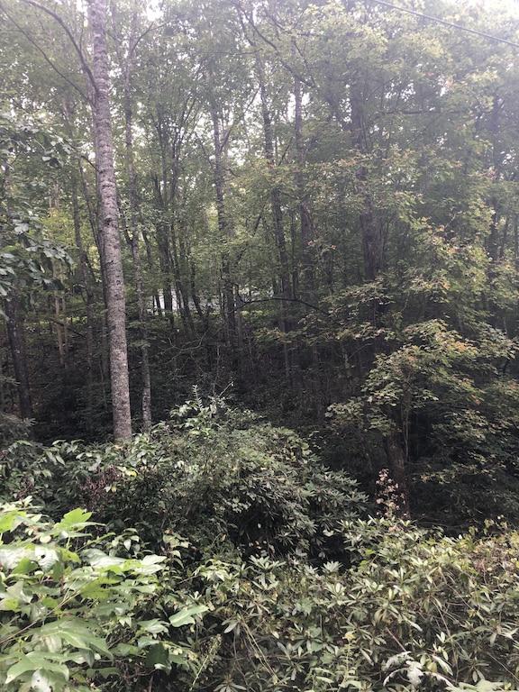 Mountain Laurel Retreat Pet Policy