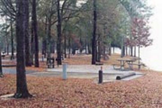 White sales oak campground