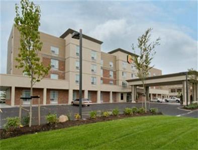 Comfort Inn Hotel Suites Surrey Pet Policy