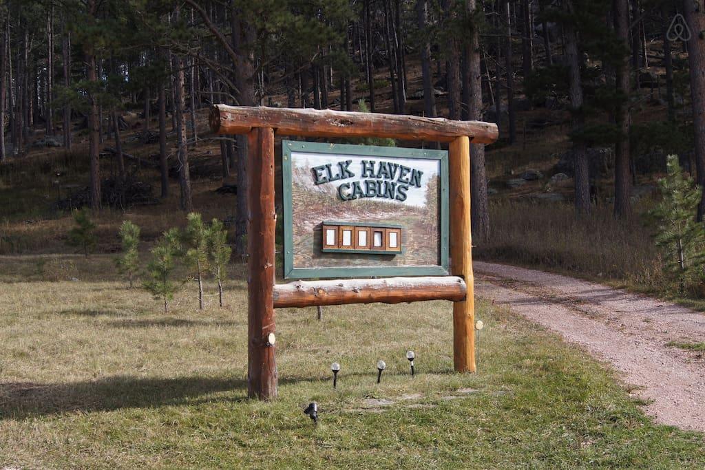 Pet Friendly Custer Airbnb Rentals