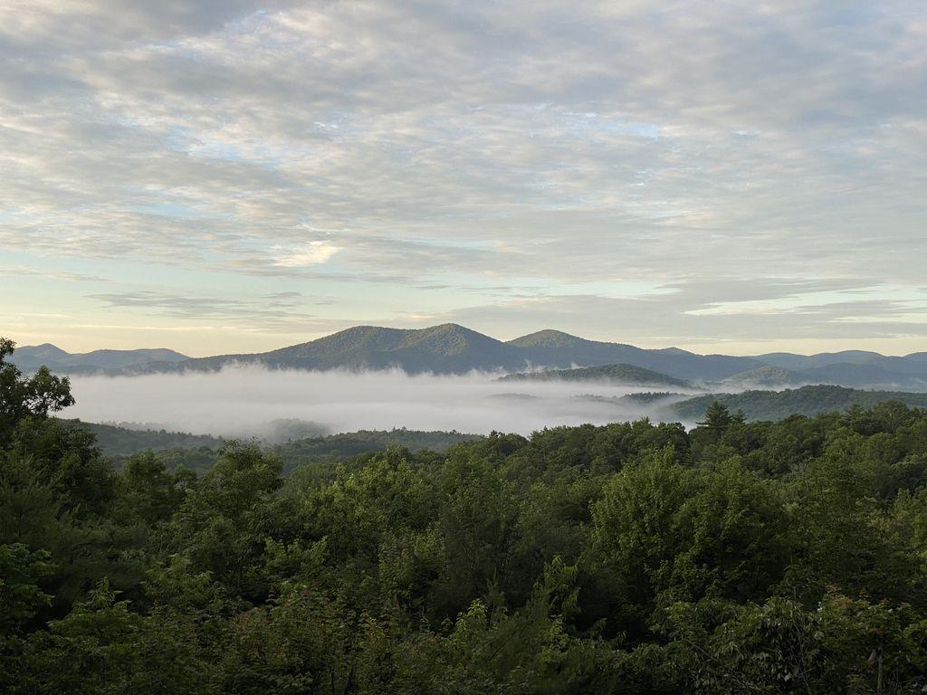 Pet Friendly Vacation Rentals In Blue Ridge Ga Bringfido